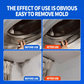 ⏳Time-Limited Special⏰Erase Mould Instantly! Long-Lasting Prevention Spray